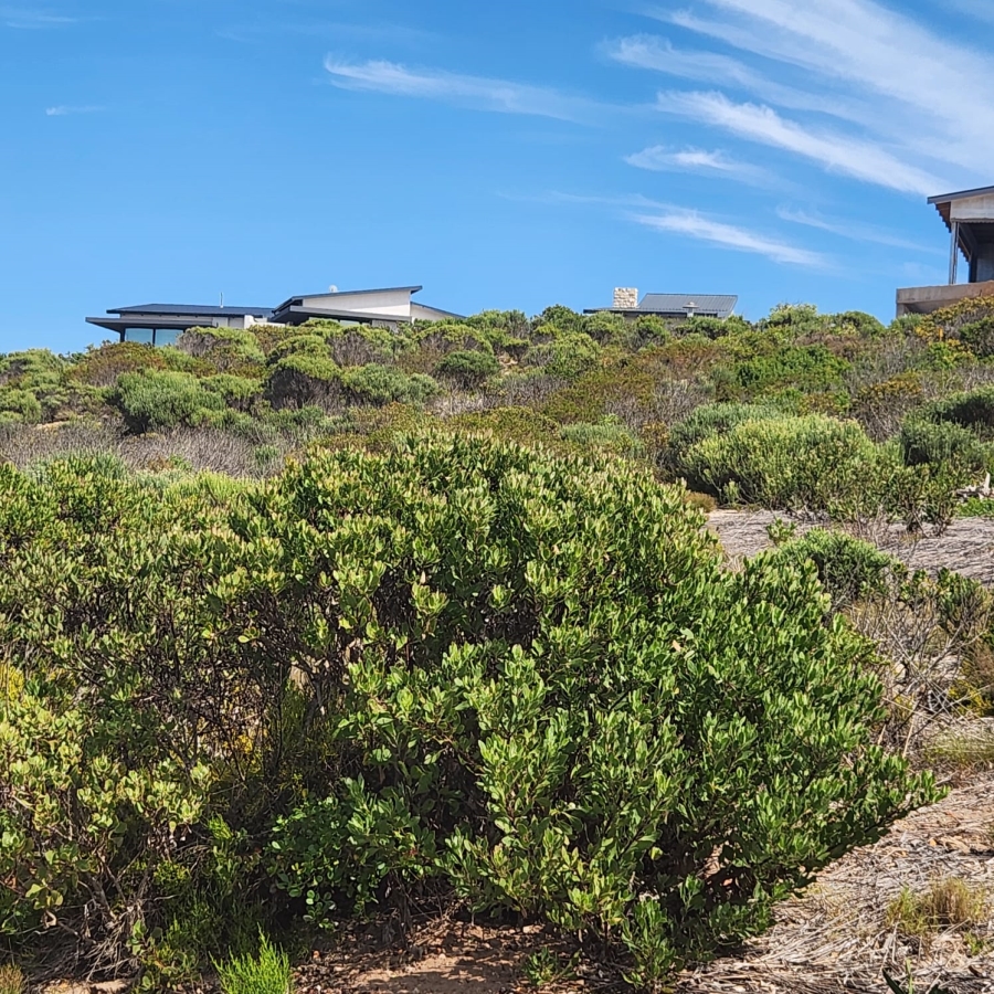0 Bedroom Property for Sale in Stilbaai Oos Western Cape
